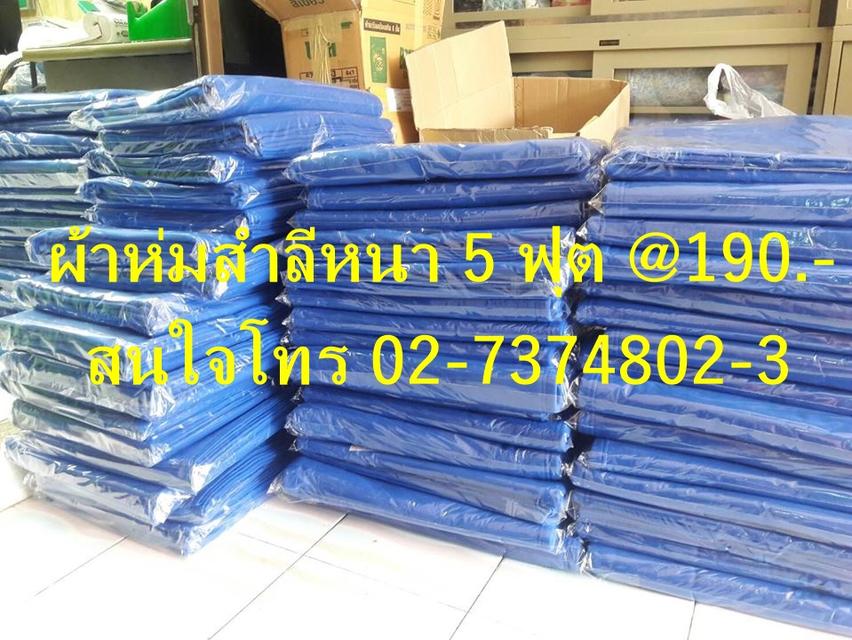 ศูนย์รวมผ้าห่มสำลีฟรีส 5 ฟุต สินค้าจากโรงงาน ยกลังได้ โทร 02-7374802-3