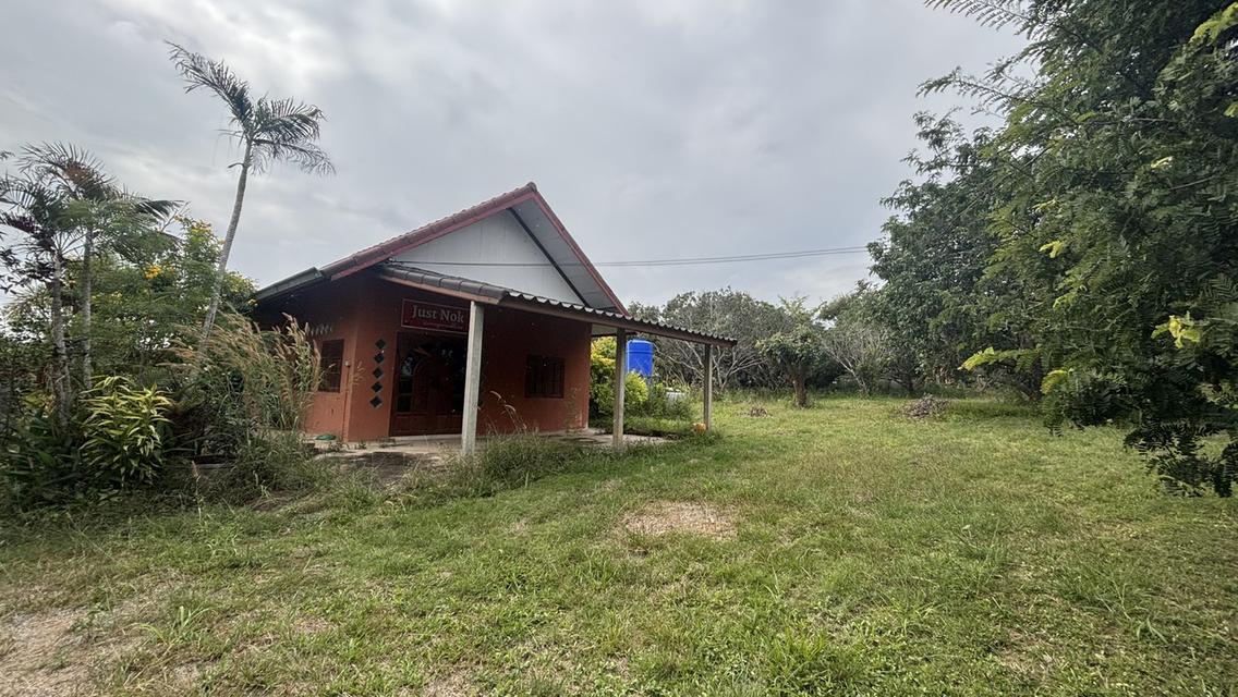 บ้านพร้อมที่ดิน 4 ไร่ 2 งาน 3.2 ล้าน อ.วังน้ำเขียว