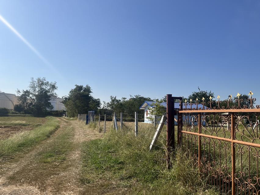 ขายที่ดิน1ไร่2งาน ใกล้คลังน้ำมัน เสาไห้ จ.สระบุรี 1