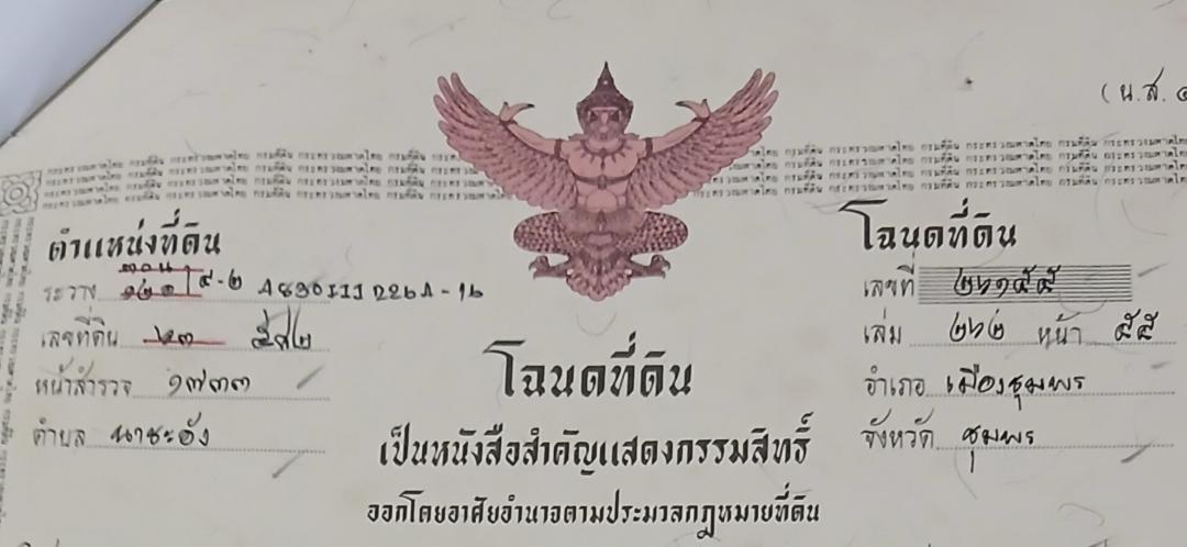 ขายที่ดินเปล่าโฉนด 1 งาน 14 ตร.ว. อยู่ในชุมชน ต.นาชะอัง อ.เมืองชุมพร ห่างศาลากลางจังหวัดเพียง 3 กม. ที่เนินปลอดภัยจากน้ำท่วม เจ้าของเองครับ 1
