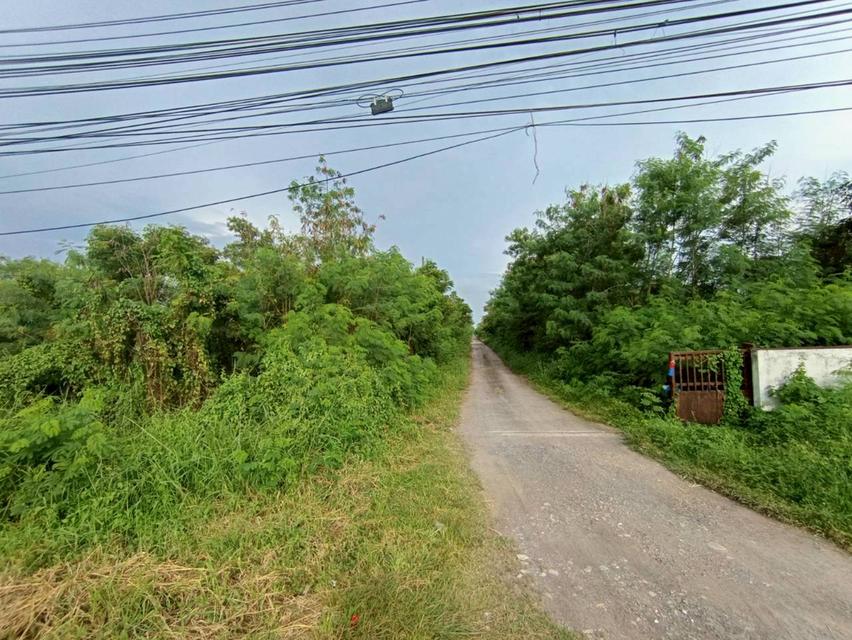 ขายด่วน ที่ดินเปล่า 1 ไร่ ขายรวม 4 แปลง  ถนนลำลูกกา คลอง 12 เข้าซอยเพียง 500 เมตร 6