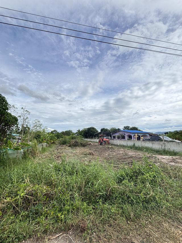 ขายที่ดิน ต.บ้านบึง อ.บ้านบึง จ.ชลบุรี