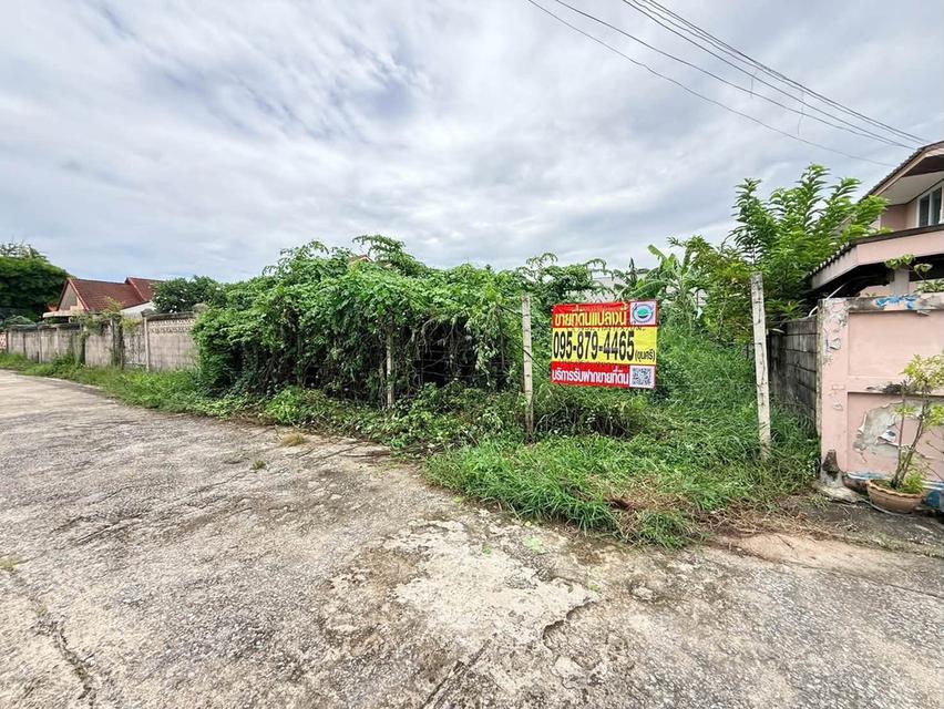 ขายด่วนที่ดินนวมินทร์ 60 ตรว ติดถนนสาธารณะ ถมแล้ว+ล้อมลวดหนาม ซ.นวมินทร์ 163 แยก13-4 บางกะปิ กทม. 2