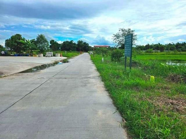 ขายที่ดินพานทองราคาถูก หนองหงษ์ พานทอง ชลบุรี บนเนื้อที่ 10 ไร่ ใกล้นิคมอมตะนคร 3