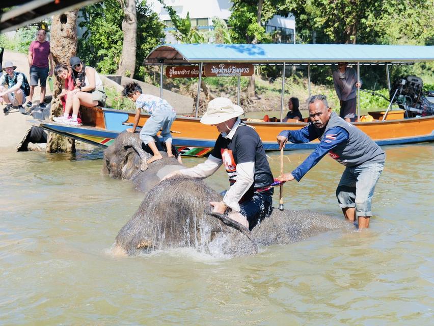 ทัวร์อยุธยา One day trip  by Bemotour  นักท่องเที่ยวไทย : ท่านละ 1,500 บาท 9