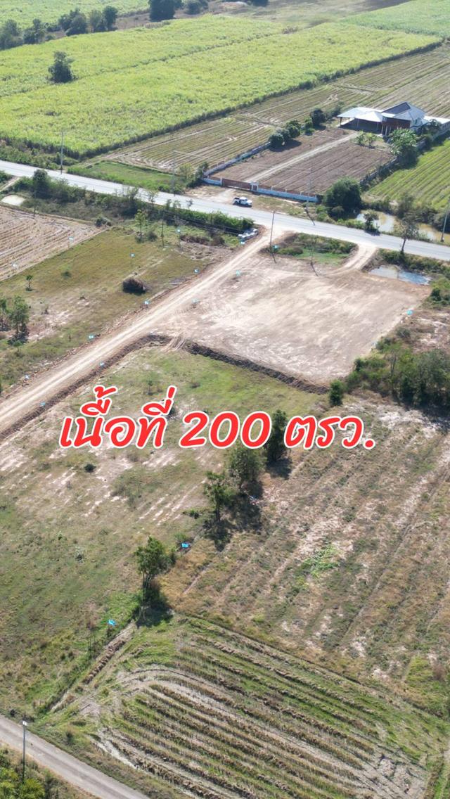 ขายที่ดินสุพรรณบุรี ราคาถูก ถมแล้ว ติดถนนเส้นหลักกรุงเทพ-ด่านช้าง ทำเลดี น้ำไม่ท่วม เหมาะสร้างบ้านหรือทำธุรกิจ อ. หนองหญ้าไทร ใกล้กรุงเทพ 2 ชั่วโมง 12