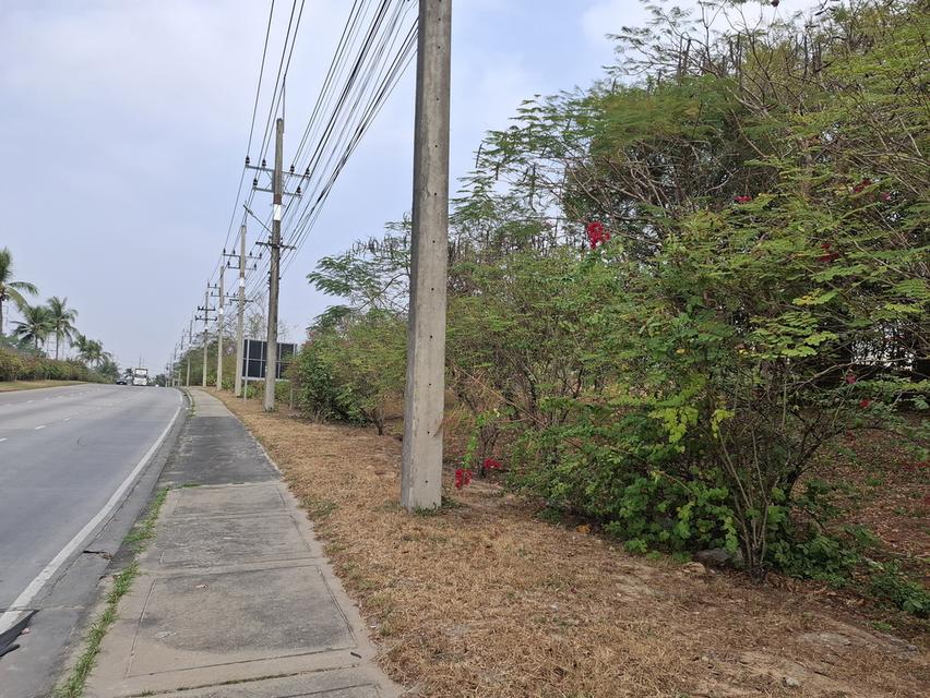 ขายที่สีม่วงเข้ม ถมแล้ว 10 ไร่  ต.เนินพระ อ.เมือง จ.ระยอง 1