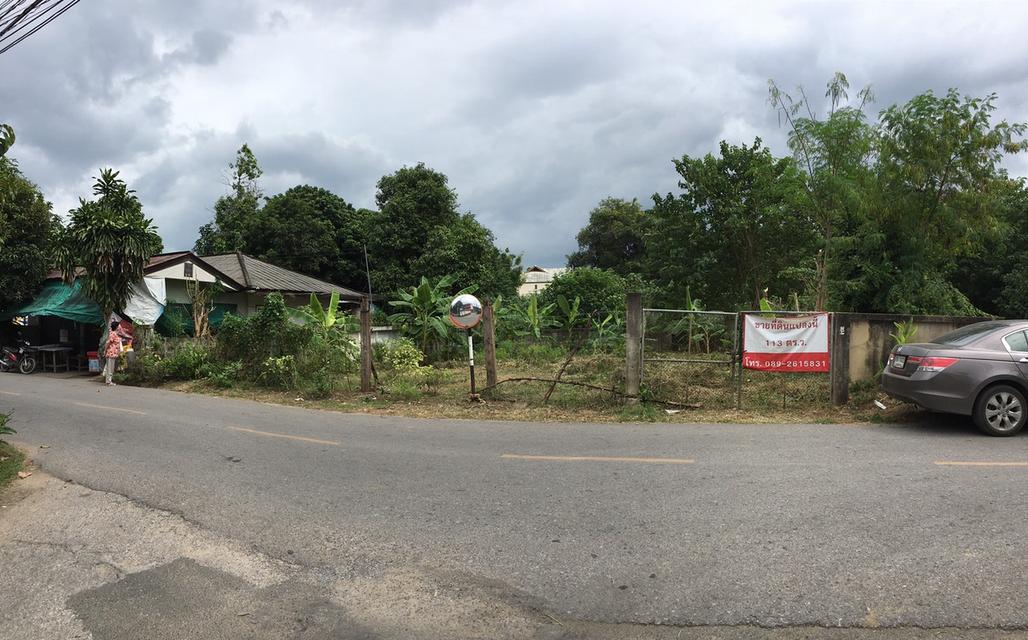 ที่ดิน 113 ตร.ว. ใกล้รพ.ลานนา