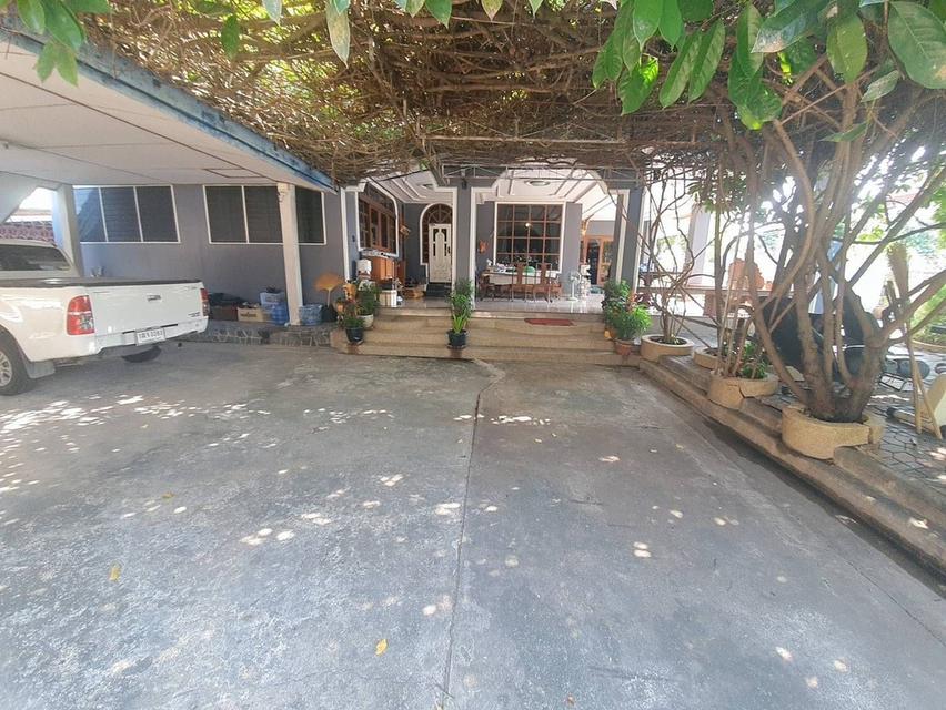 ขายบ้านพร้อมที่ดิน 300 ตร.วาย่านปากเกร็ด 5