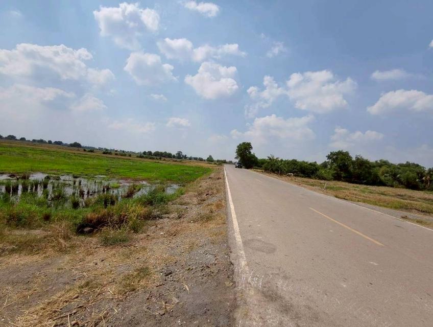 ขายด่วน! ที่ดินบางน้ำเปรี้ยว 15 ไร่ 1 งาน 34 ตารางวา ติดถนนลาดยางสาธารณะ ทำเลทอง ราคาถูกที่สุดในย่านนี้ รูปที่ 4