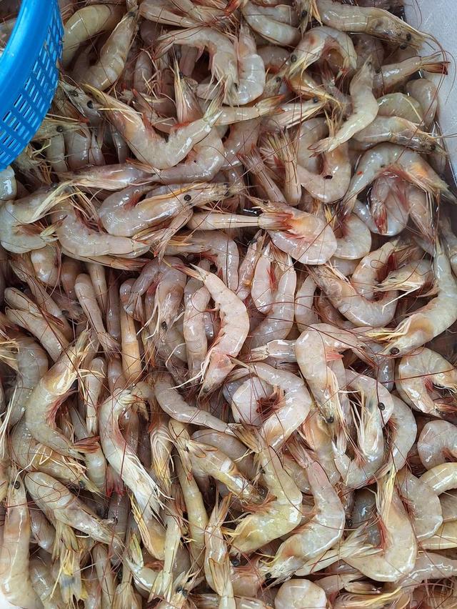 กุ้งสดกุ้งแช่บ๊วย 1