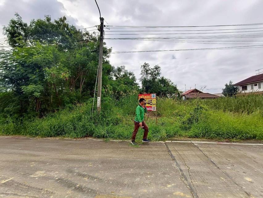 ที่ดิน 5