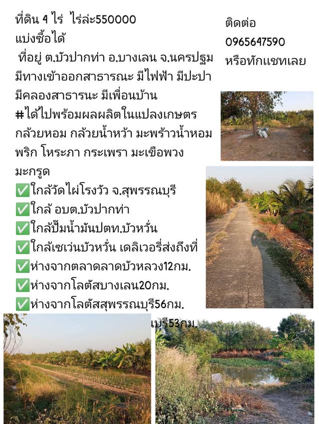 ขายที่ดินพร้อมพืชพันธุ์ 4ไร่ 7
