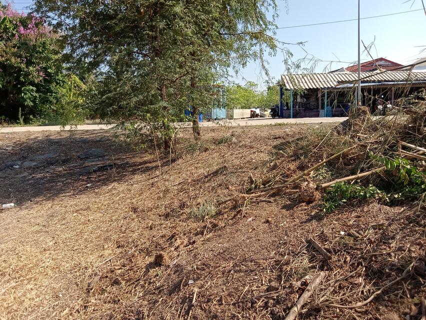 ที่ดิน 100 ตรว. บ่อเงินซอย 8 ต.บ่อเงิน อ.ลาดหลุมแก้ว จ.ปทุมธานี 12