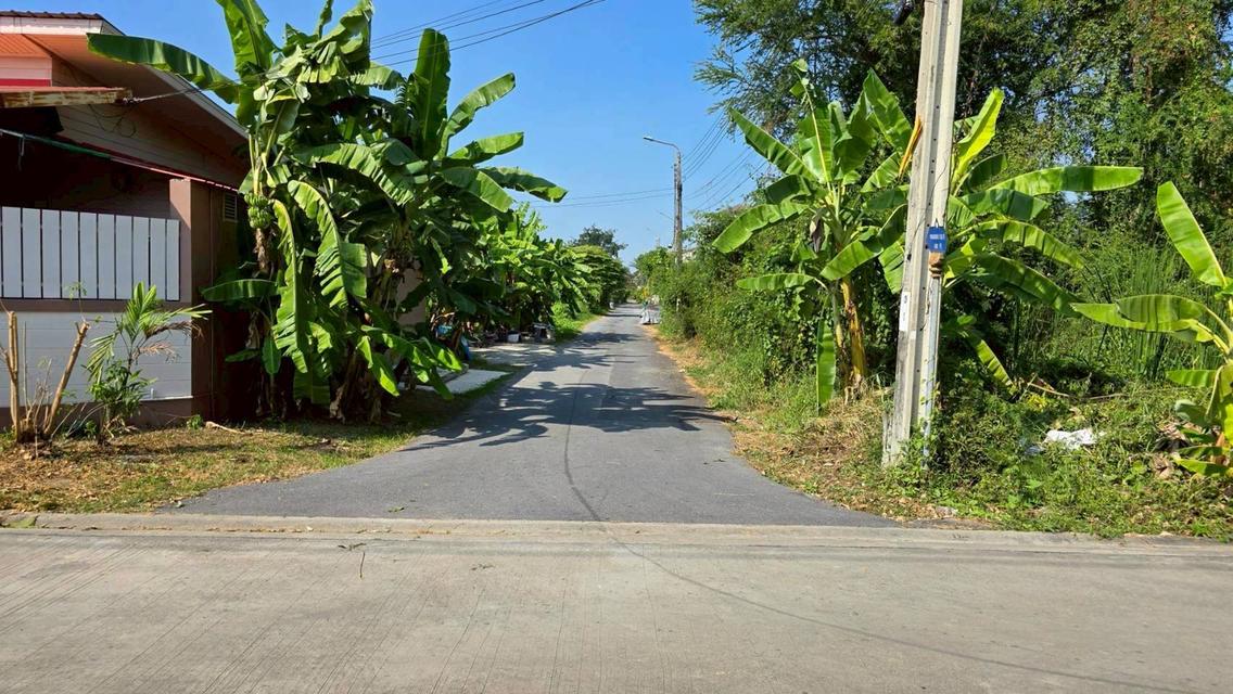 ขายด่วนที่ดินพุทธมณฑลสาย 3 เนื้อที่ 57 ตรว ติดถนนลาดยาง ซ.19 แยก 16  เขตตลิ่งชัน กทม. 4