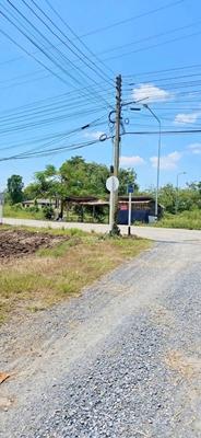R002-3 ขายที่ดินหนองเสือคลอง11 #ขายที่ดินหนองเสือคลอง11ปทุมธานี  ที่ดิน70 ตรว.ราคา 299,000บาท สนใจโทร. 086 337 4861 เรณู. #ที่สวยทำเลดีติดถนนลาดยาง 5