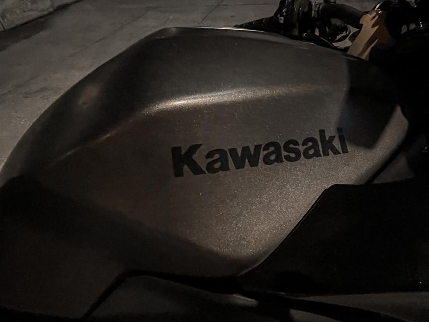 Kawasaki Z250 ABS 2015 Gray Metallic   3