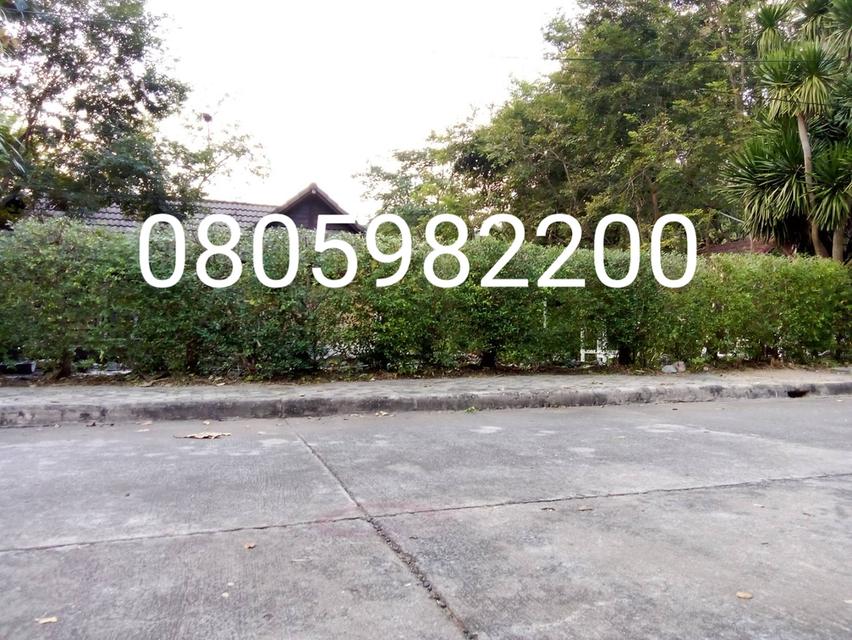 ศุภาลัย ป่าสักรีสอร์ท บ้านเดี๋ยวติดแม่น้ำป่าสัก ในโครงการรีสอร์ท 1