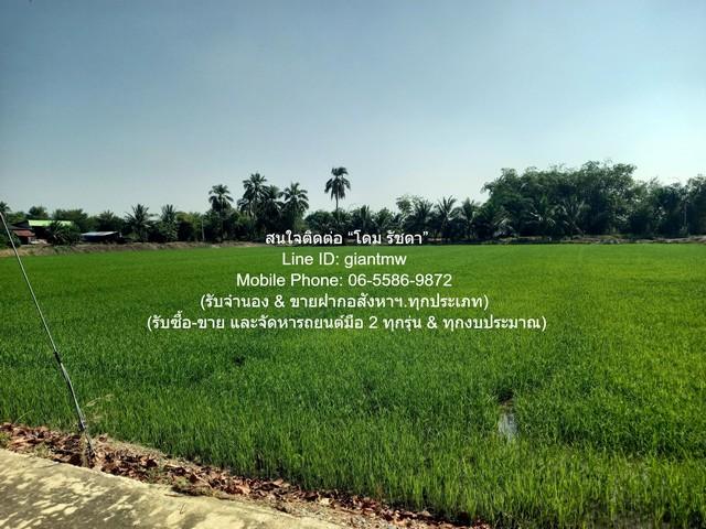 พื้นที่ดิน ขายที่ดินทุ่งนา อ.นครชัยศรี นครปฐม 5-0-0 ไร่ ราคา 15 ล้านบาท ใหญ่ขนาด 5 RAI 0 ngan 0 ตรว. 15000000 THB ใกล้ โ 6