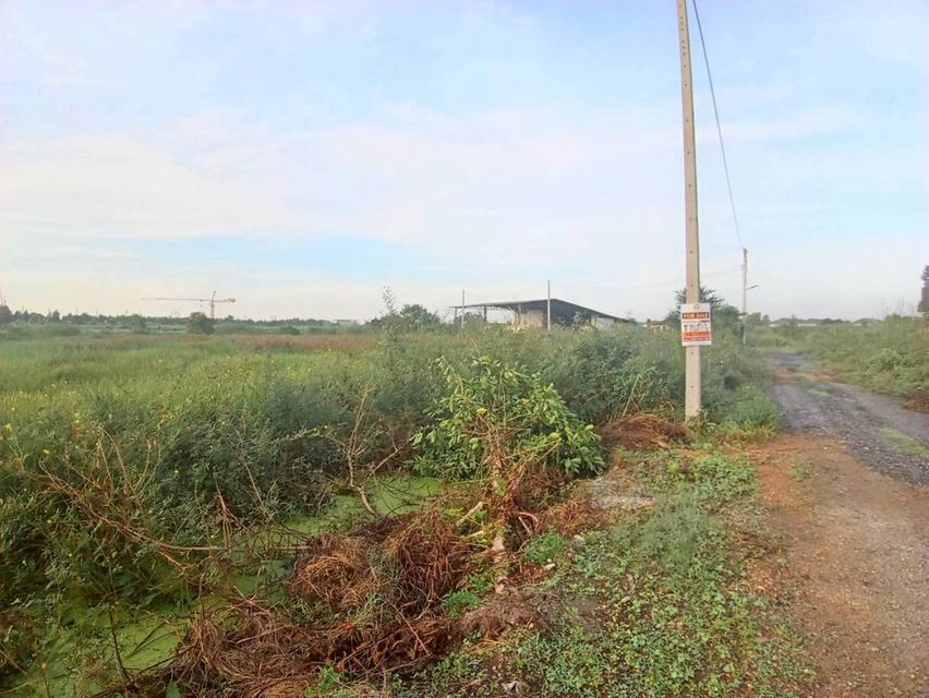 ที่ดินเปล่า 3 ไร่ ลำลูกกา คลอง8 ออกรังสิต-นครนายก 7