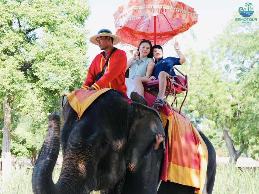 โปรแกรม AY224 ทัวร์อยุธยา One day trip by Bemotour นักท่องเที่ยวไทย : ท่านละ 1,500 บาท