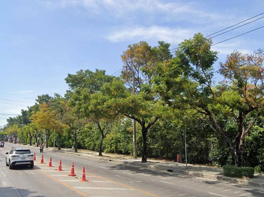 ขายที่ดินเปล่าถมแล้ว 4-0-64 ไร่ ติดถนน เฉลิมพระเกียรติ ร.9 ใกล้สวนหลวง ร.9 แขวงหนองบอน เขตประเวศ กทม. 2