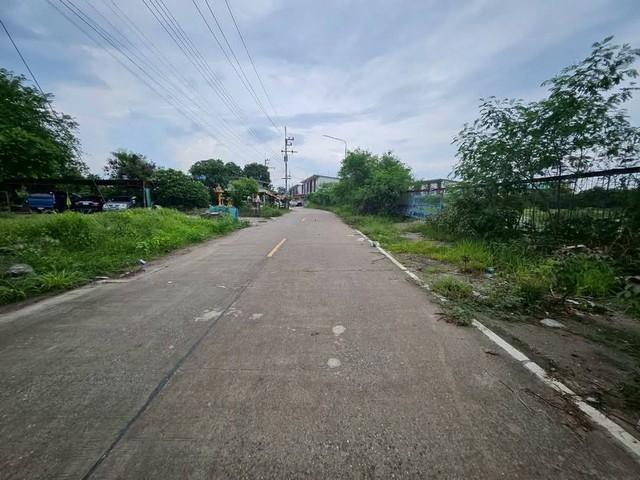ให้เช่าที่ดินพานทองชลบุรี ที่ดินบ้านเก่าพานทองอมตะชลบุรี ทำเลใกล้อมตะนครเฟส 6 7 8 บนเนื้อที่ 4 ไร่ 4