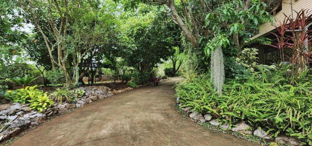 Villa khao yai for sale ขายบ้านพักตากอากาศเขาใหญ่ 3 ไร่ อยู่เส้นธนะรัชต์ ท่าช้างบ้านไร่ หมูสี บ้านสวยพร้อมสวนขนาดใหญ่ ใกล้อุทยานแห่งชาติเขาใหญ่ 10