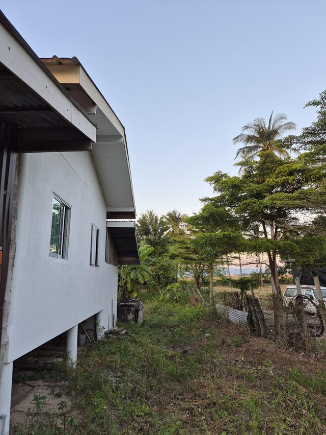 ที่ดินปากช่อง จังหวัดนครราชสีมา 1