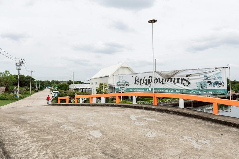 ที่ดินพร้อมสิ่งปลูกสร้างคาเฟ่โรงเรือน เลียบคลองทวีวัฒนาต้นทางเพชรเกษม 2