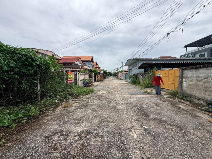 ขายด่วนที่ดินนวมินทร์ 60 ตรว ติดถนนสาธารณะ ถมแล้ว+ล้อมลวดหนาม ซ.นวมินทร์ 163 แยก13-4 บางกะปิ กทม. 8