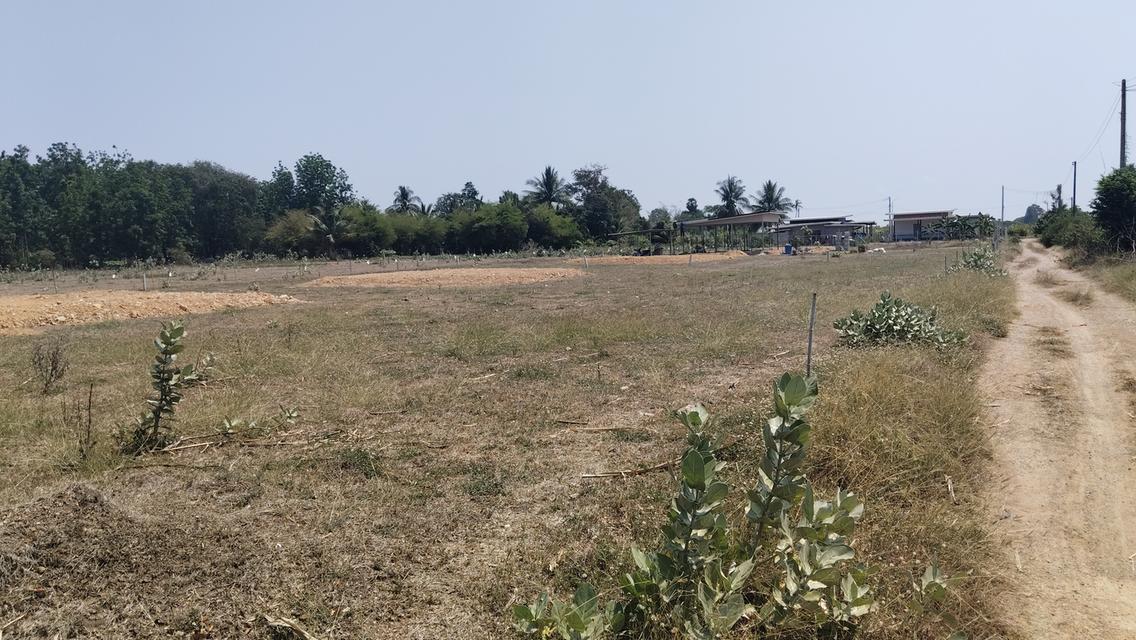 บ้านและที่ดินเงินสดเงินผ่อน 6