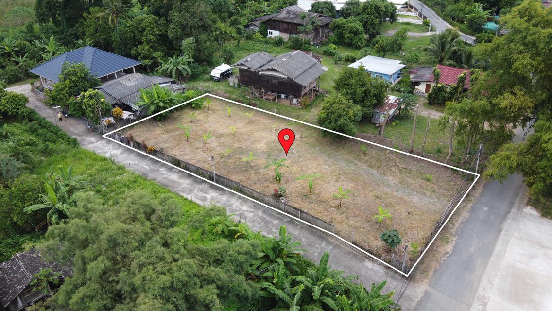 ที่ดิน 239 ตร.ว. ติดถนนคอนกรีต 2 ด้าน ถมแล้ว น้ำ-ไฟ-พร้อม