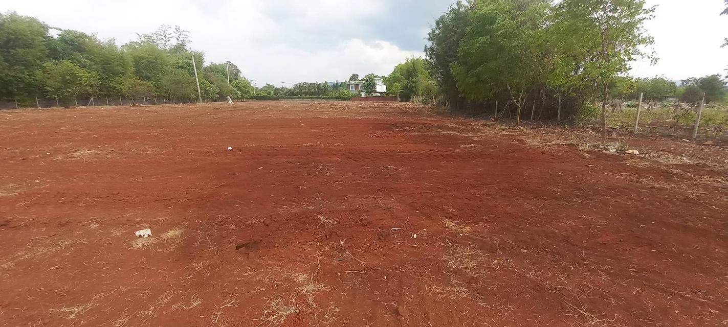 ขายที่ดินเขาใหญ่ 3-6 ไร่ ตำบล หมูสี แปลงสวย ติดถนน 6