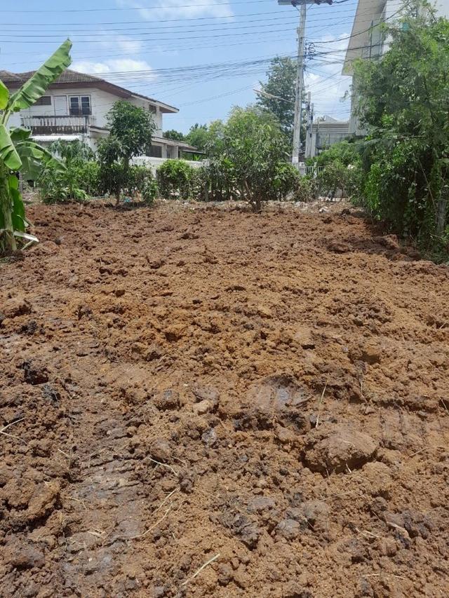 ขายที่ดินแปลงสวย 2 แปลง ถมแล้ว ขนาดเริ่มต้น 151 ตร.ว. ซอยวัดสลักเหนือ ปากเกร็ด ใกล้สถานีรถไฟฟ้าอิมแพค เมืองทองธานี 3