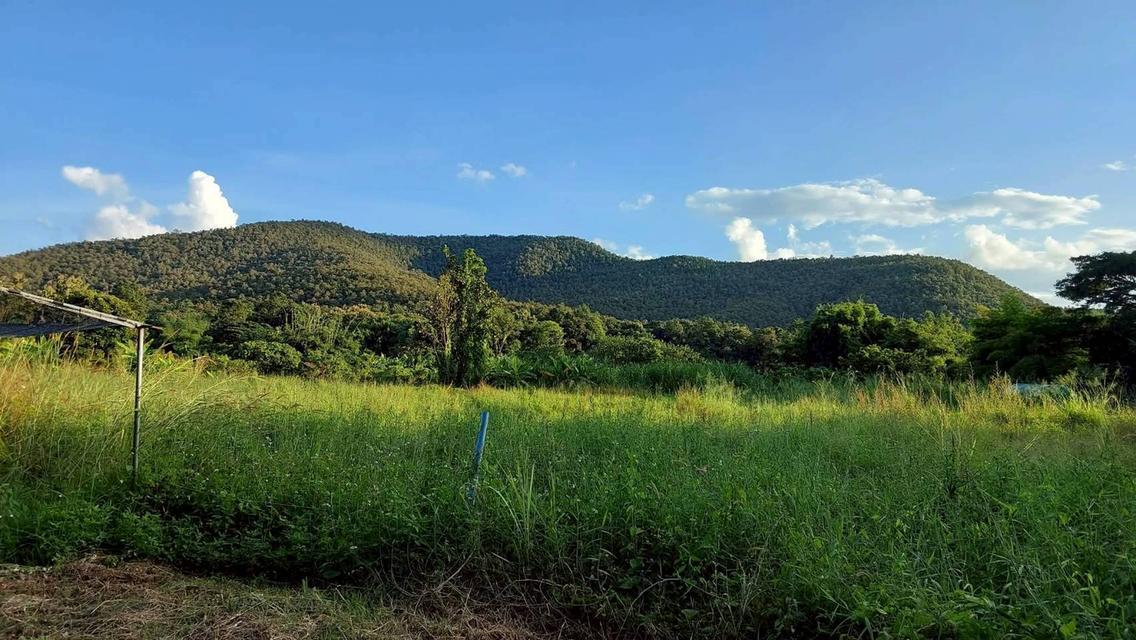 แบ่งขายฟาร์มดอยสะเก็ด จ.เชียงใหม่ จำนวนไร่ตามภาพ 7