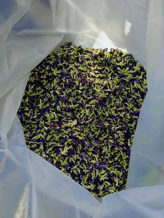 ดอกอัญชันตากแห้ง คัดเกรดA 2