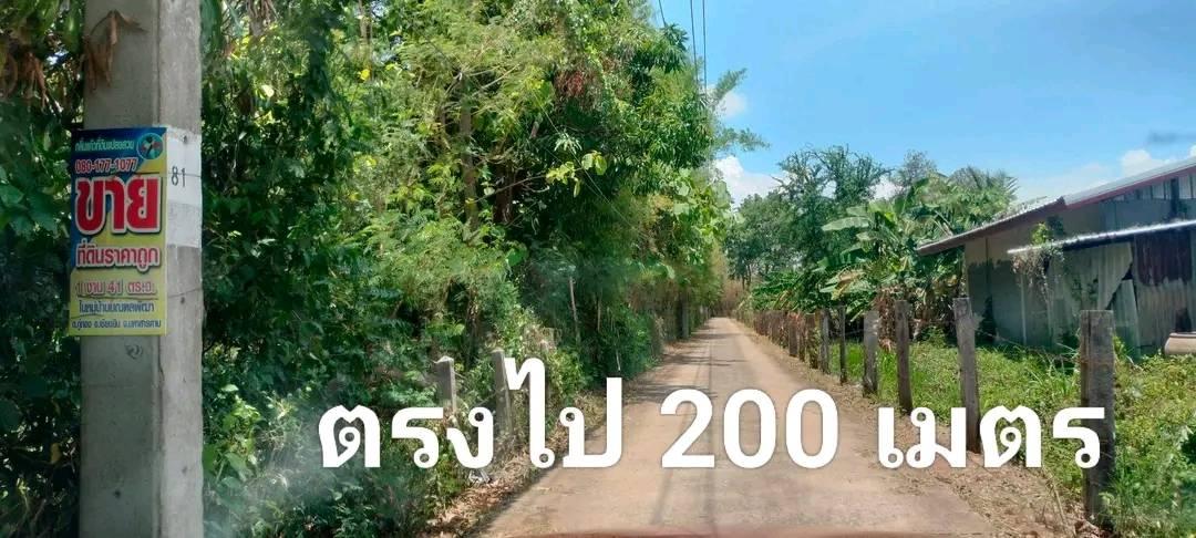 ขายที่ดินหมู่บ้านมณฑพัฒนา อ.เชียงยืน จ.มหาสารคาม 11