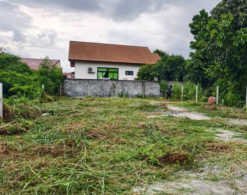 ขายที่ดินเสม็ด บางแสน ซอยหลังแม็คโคร 74 ตรว. ใกล้แยกอ่างศิลาใกล้ถนนสุขุมวิท3-400เมตร จ.ชลบุรี 1