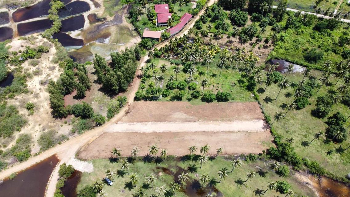 ที่ดินวิวเขา ใกล้ทะเล 4 ชม จากกรุงเทพ  11