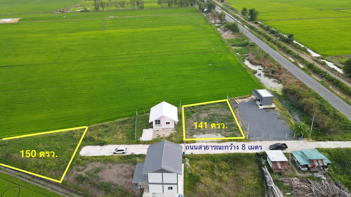 ที่ดินเปล่า เนื้อที่141 ตรว. 2