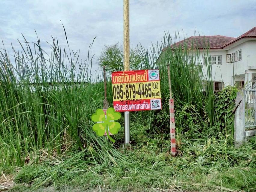 ขายด่วนที่ดินราชาเทวะ 100 ตรว ทำเลดี มีอนาคต  ซ.กิ่งแก้ว 45 อ.บางพลี จ.สมุทรปราการ 8