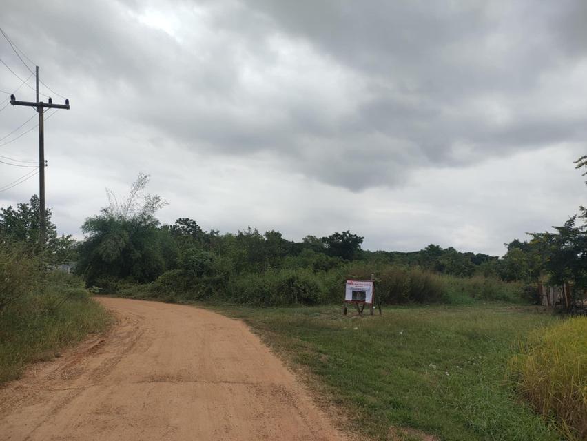 ขายที่ดินเปล่าบ้านโนนตุ๋น 5