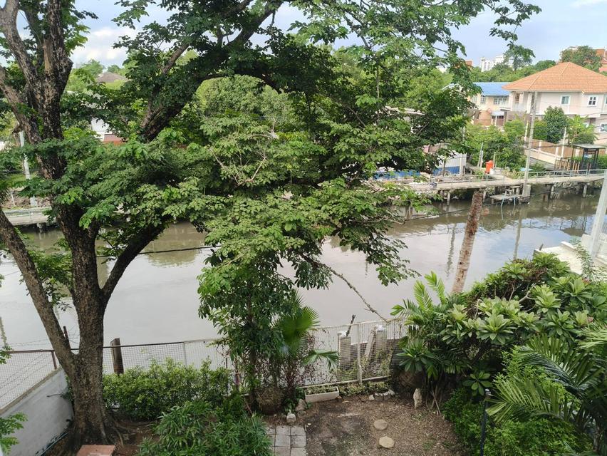 คุ้มสุด ขายบ้านริมน้ำ สุขุมวิท77 ที่ดิน28ตร.ว อ่อนนุช21 บ้านสวยร่มรื่น ใกล้ Makro700ม. โรงเรียนนานาชาติ รถไฟฟ้าBTS เข้าออกได้ศรีนครินทร์ พัฒนาการ รูปที่ 11