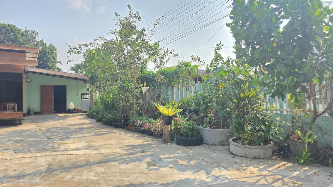 บ้านพร้อมที่ดิน อ.เวียงป่าเป้า จังหวัดเชียงราย 6