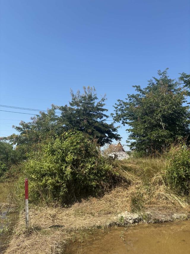 ที่ดินติดถนนใหญ่ใกล้วัดพระธาตุลำปางหลวง 2