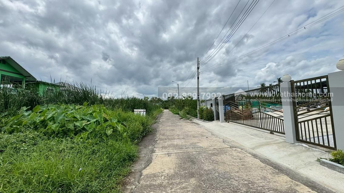 ขายที่ดิน ซอยบรมราชชนนี74 แยก9/14 พื้นที่ 50 ตรว. ราคาถูก ใกล้มหาวิทยาลัยมหิดล ศาลายา 3