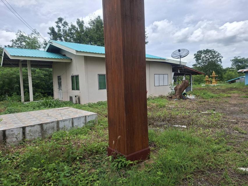 ขายที่ดินแปลงใหญ่ ติดถนน 4เลน สระบุรี-เพชรบูรณ์ 10