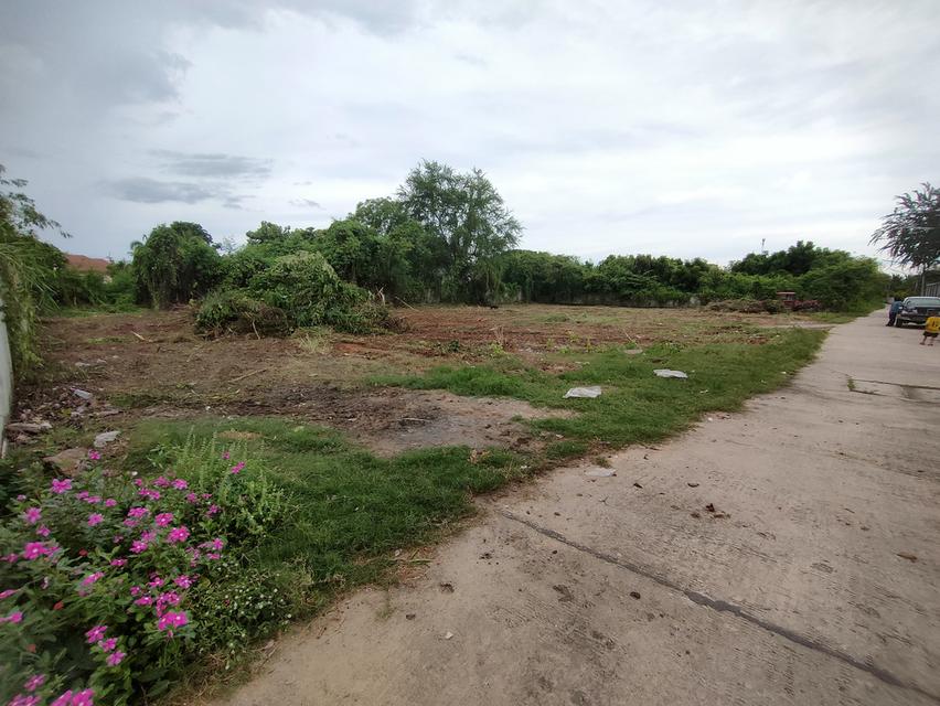 ขายที่ดิน ใกล้เลี่ยงเมืองนครสวรรค์