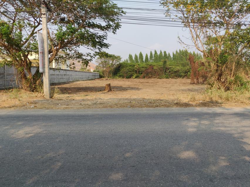 ขายที่ดินทำเลทอง ราคาถูก ติดถนนพัฒนาการ เยื้องสถานีรถไฟกาญจนบุรี 2
